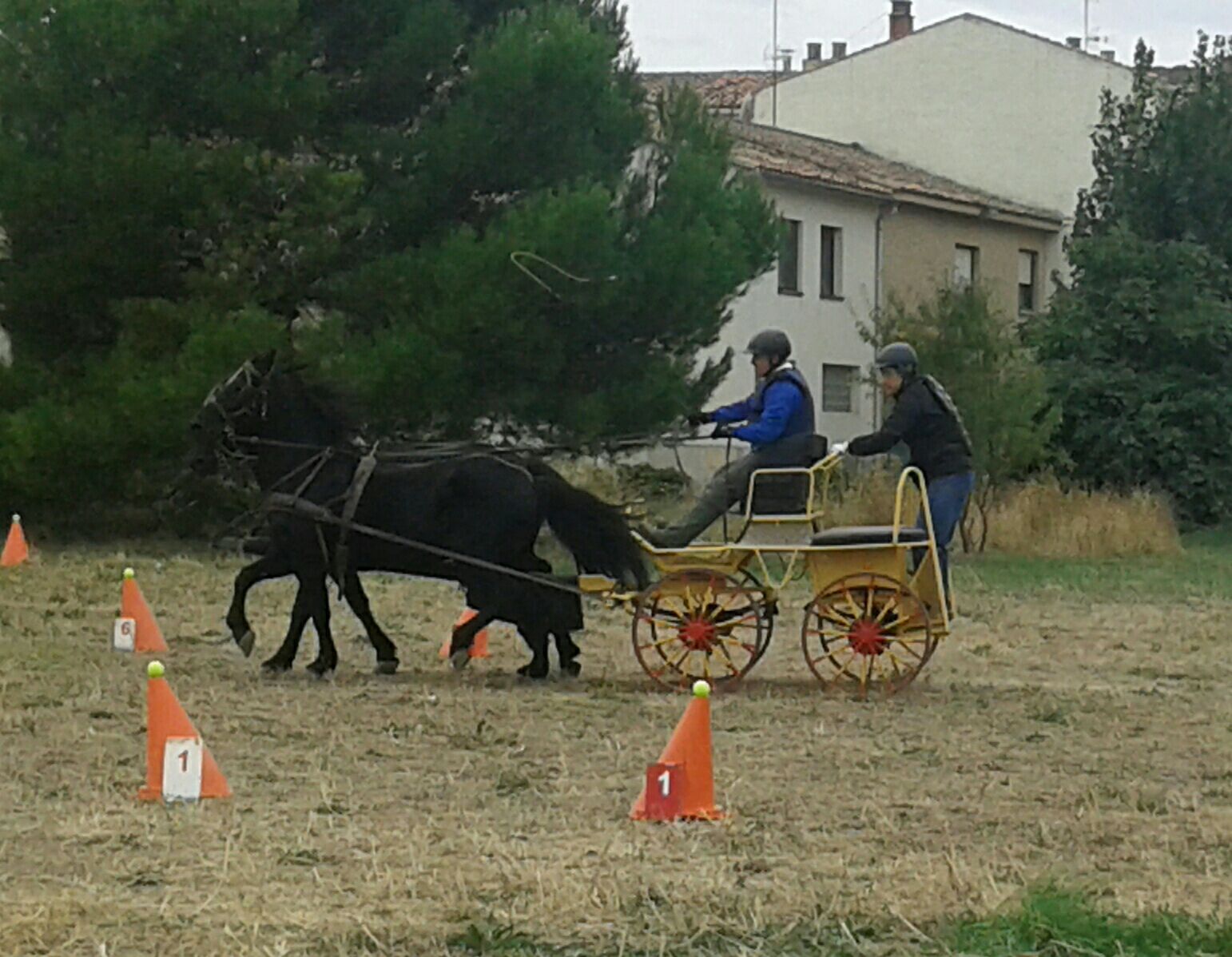2ª Fase Campeonato Navarra de Enganches